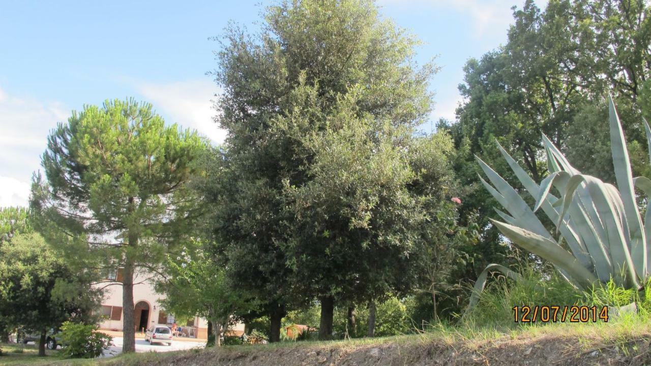 Locanda San Marino Al Coppo Monte Grimano Terme 外观 照片
